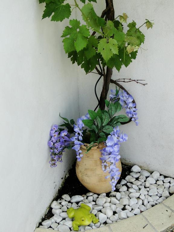 La Petite Maison Sur L'ile De Re